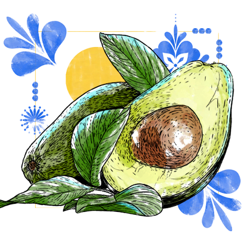 Aguacate