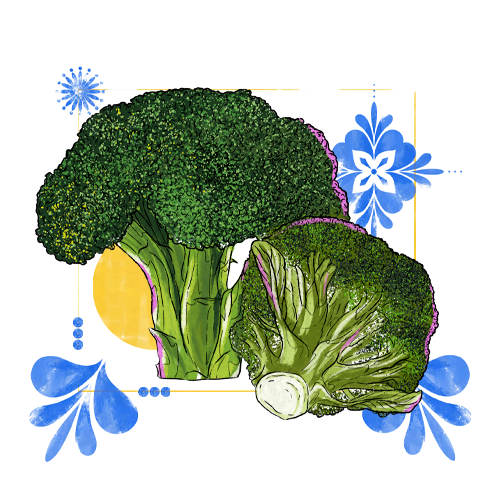 Brocoli