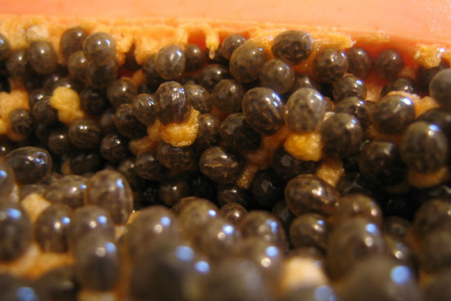 Las semillas de la papaya se utilizan para elaborar