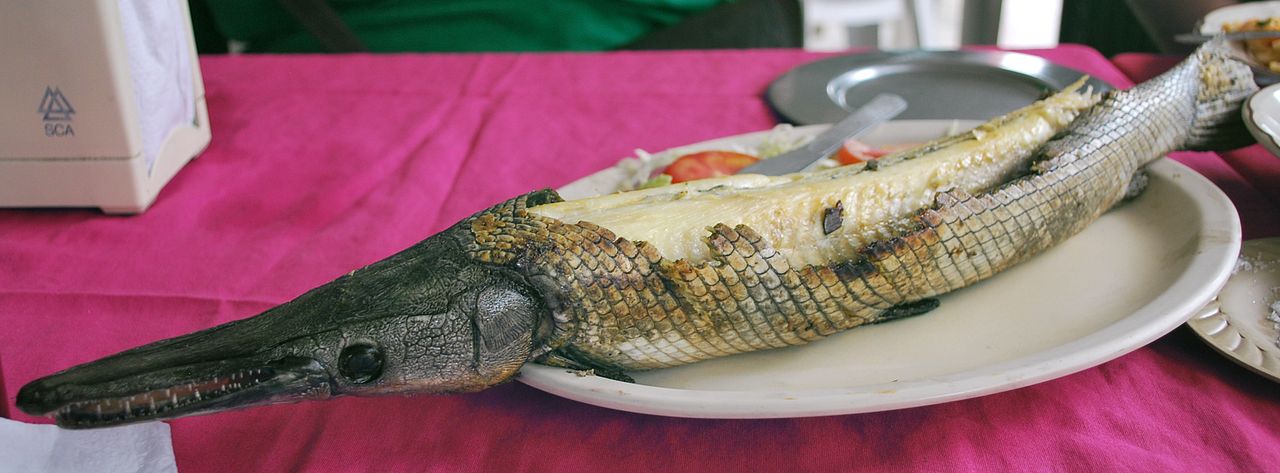 Al mojo de ajo o simplemente asado, con tortillas y salsa, el pejelagarto es un platillo muy tabasqueño. // Foto: Especial.