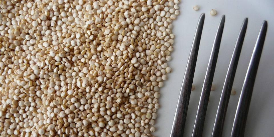 receta ensalada quinoa eduardo palazuelos
