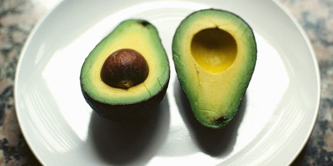Aguacate_NeilConway