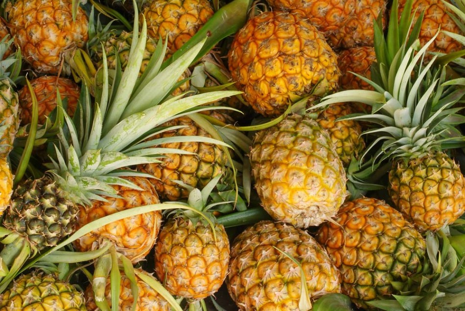 guardar frutas verduras