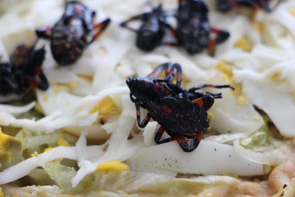 tantarrias en tostada