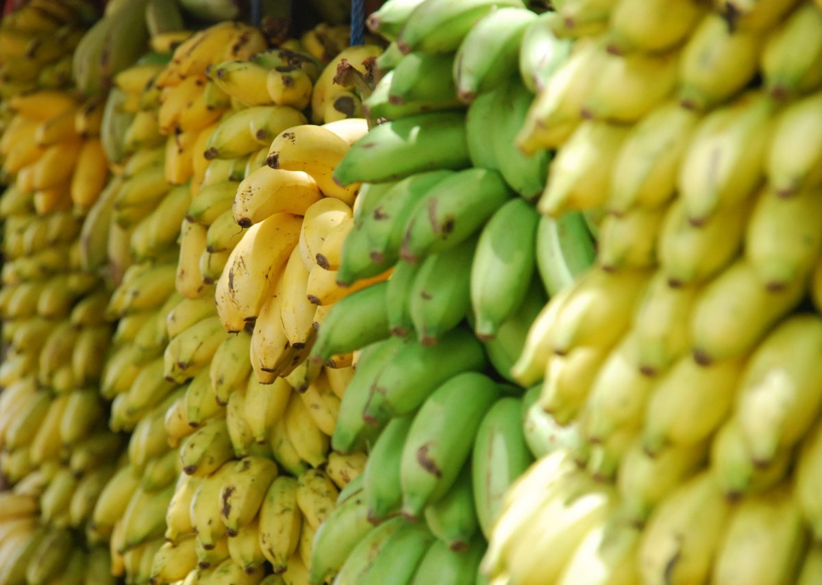 receta volteado de plátano