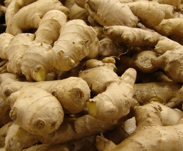 Jengibre.//Foto: Wikimedia Commons.