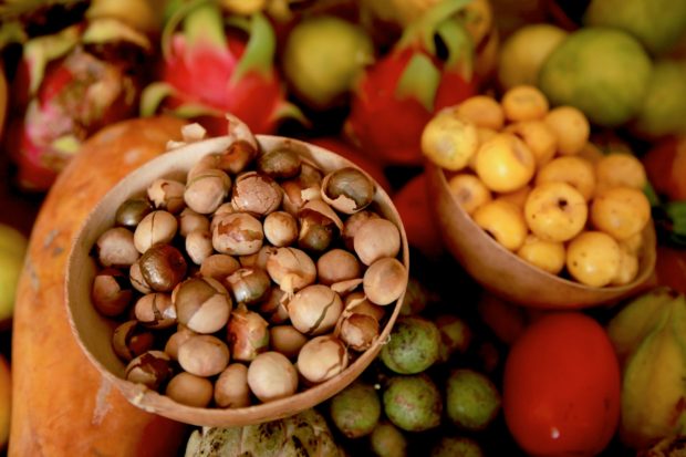 Ingredientes del Solar Maya. Foto: The Nature Conservancy, Ivan Lowenberg