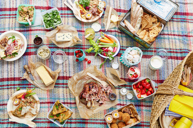 Qué Sobrellevar A Un Picnic Ideas Gestation Un Viaje Linear Unit El Labrantío Cosas Que Se Deben Llevar A Un Picnic