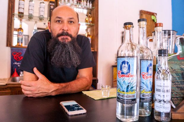 Francisco Nucamendi Pulido, un socio de la Comitequería, de pie junto a unas botellas de comiteco antes de mezclar un coctel para sus clientes. Foto: Marissa Revilla, GPJ.