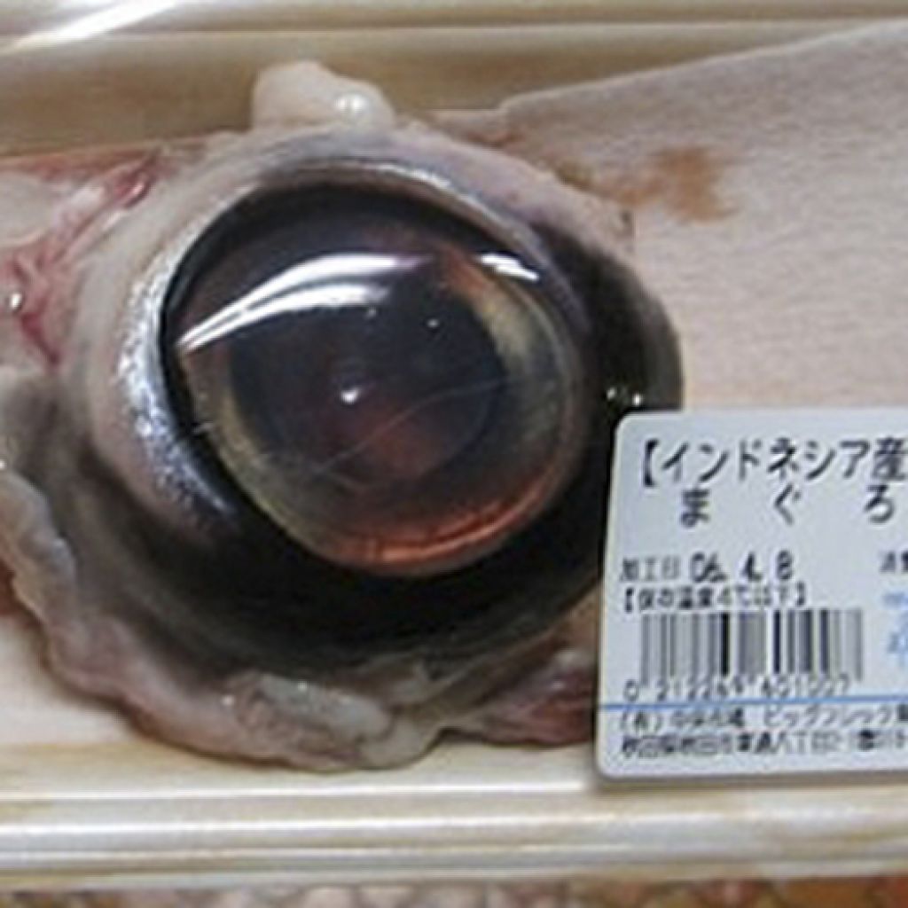 Ojo de atún