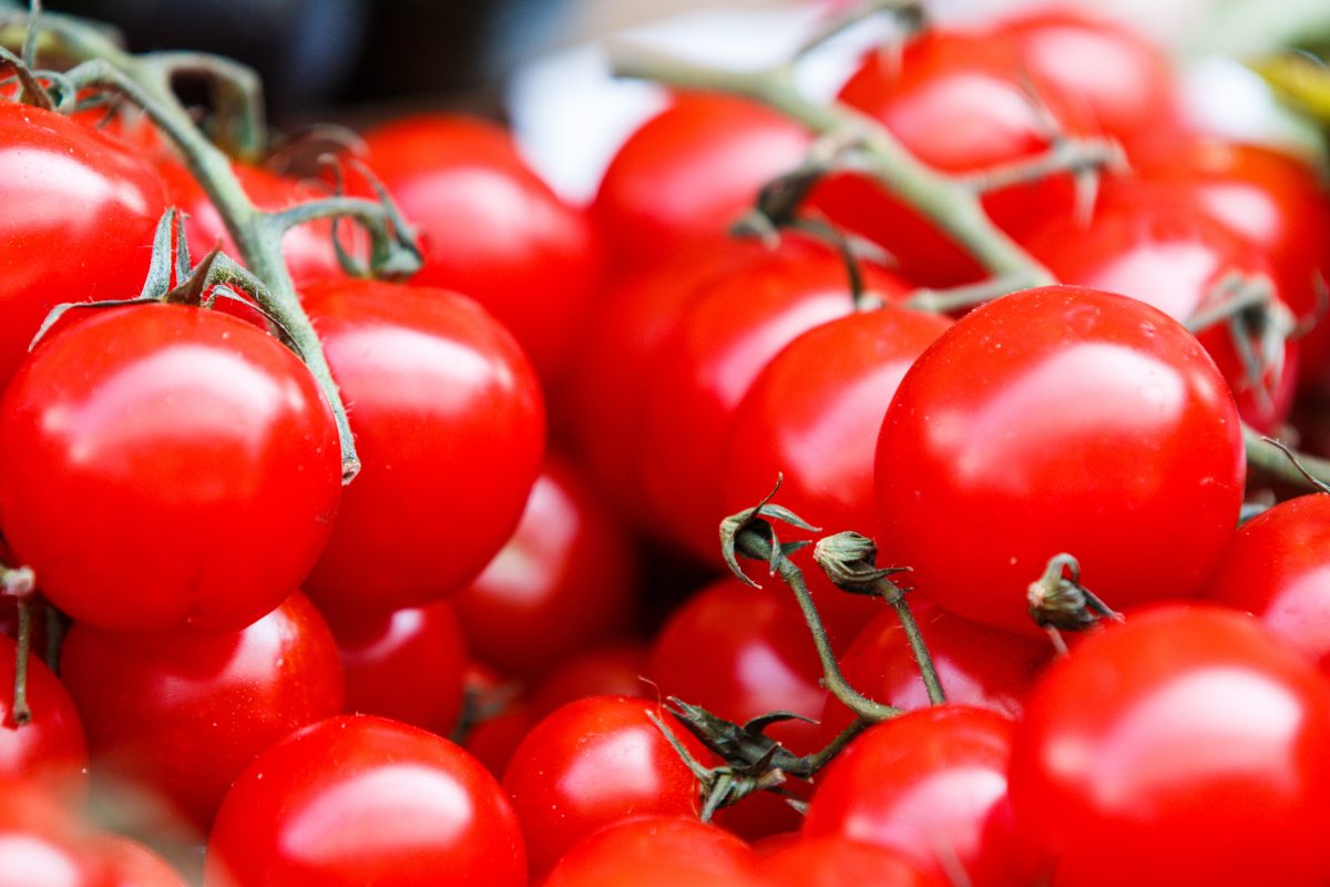 guardar frutas verduras