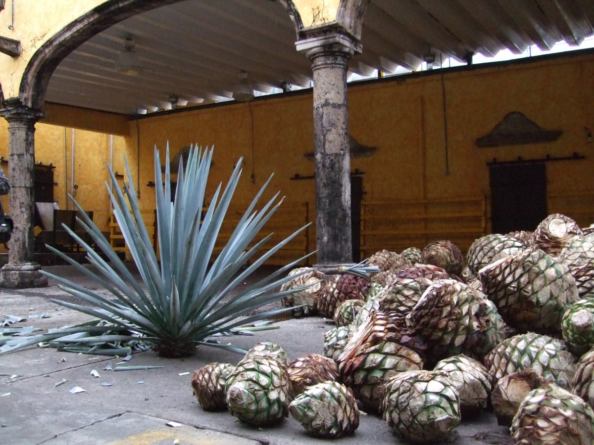 hornos bajo tierra