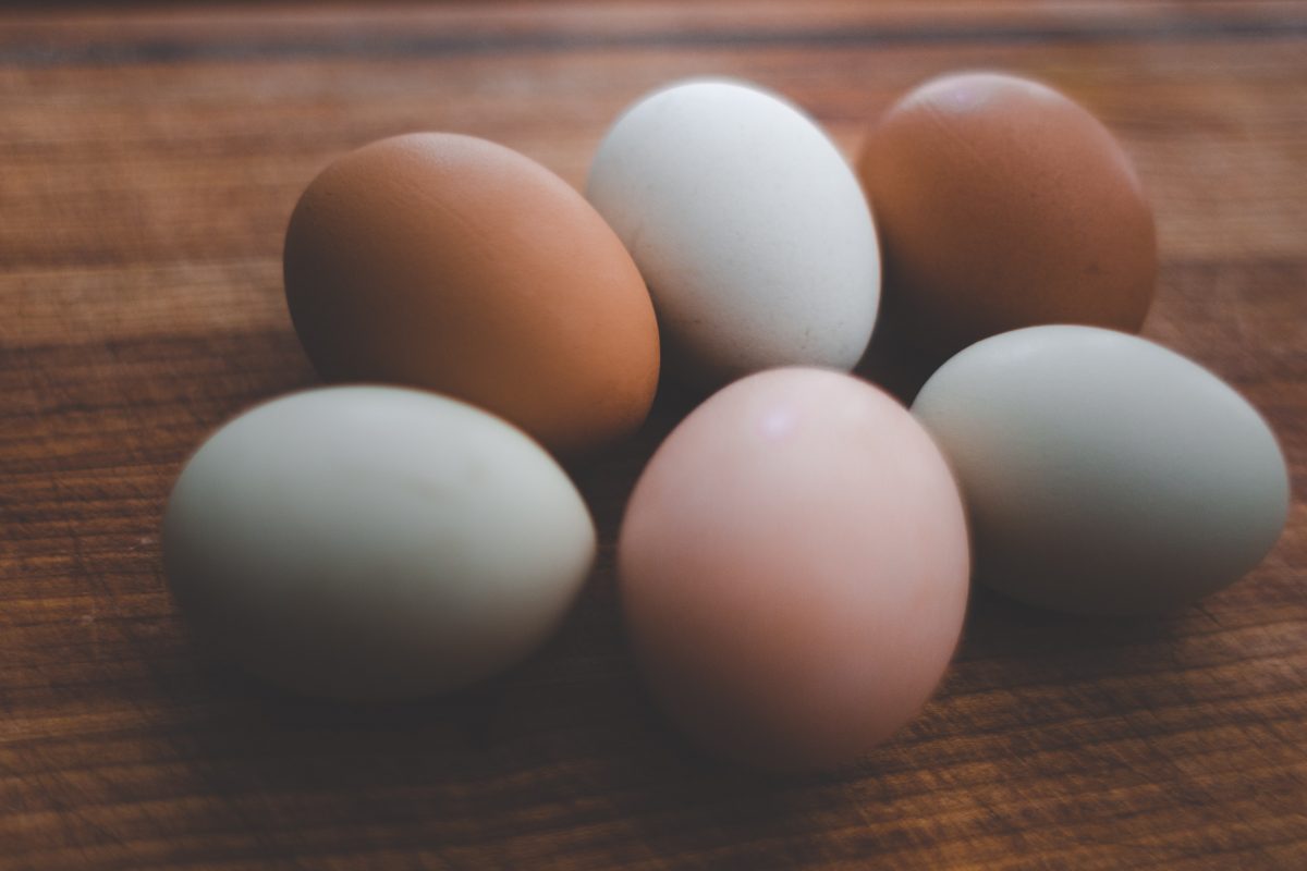 Dieta paleo. cocinar en casa