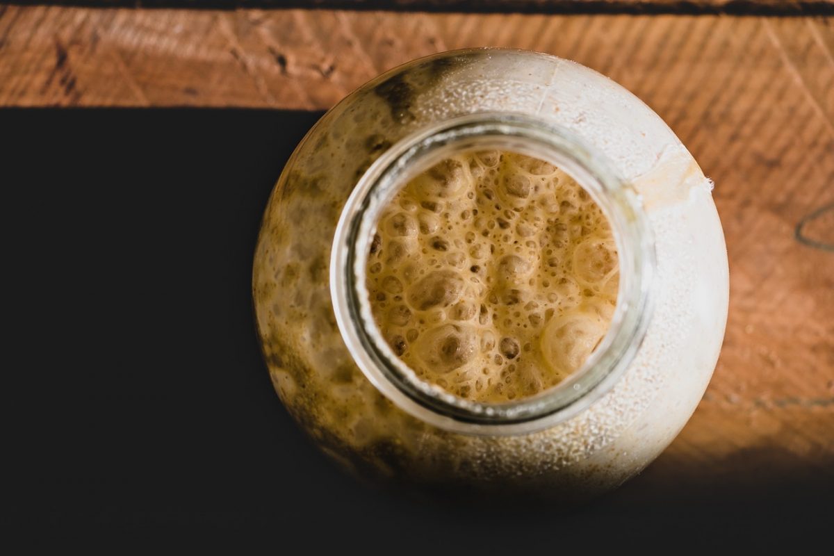 consumir alimentos fermentados