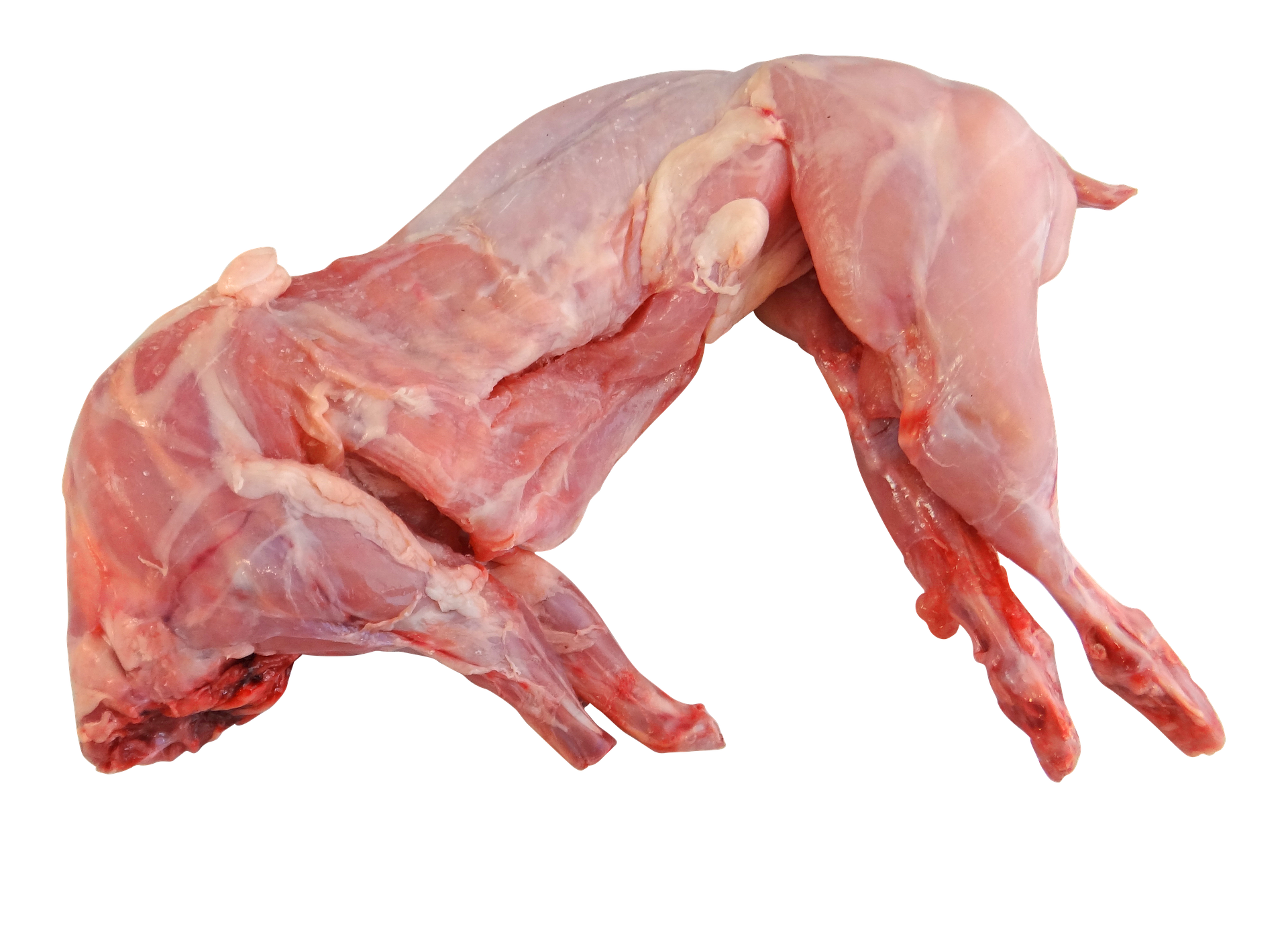 carne de conejo