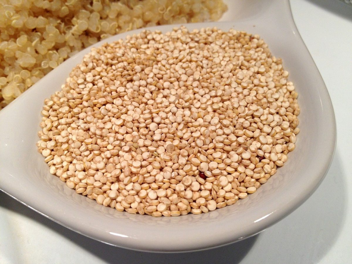 como cocinar quinoa