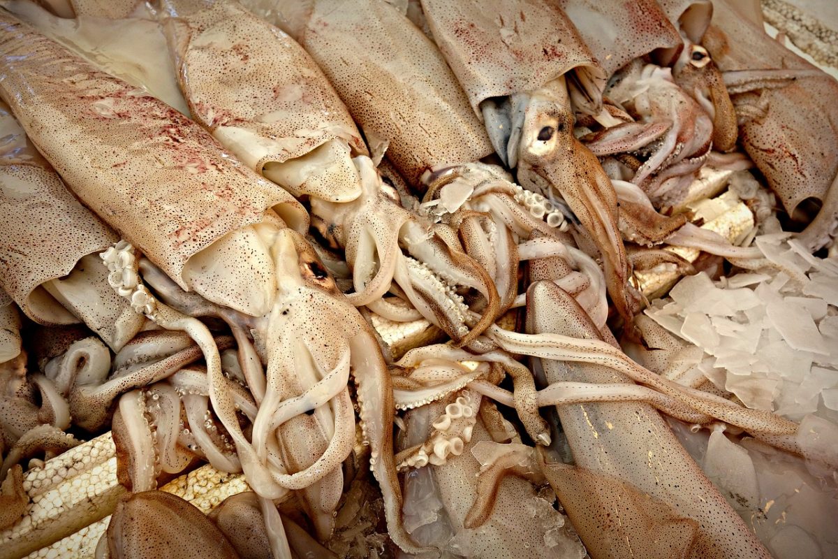 limpiar mariscos