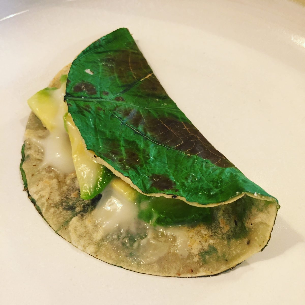 plant-based enriquel olvera taquería vegetariana