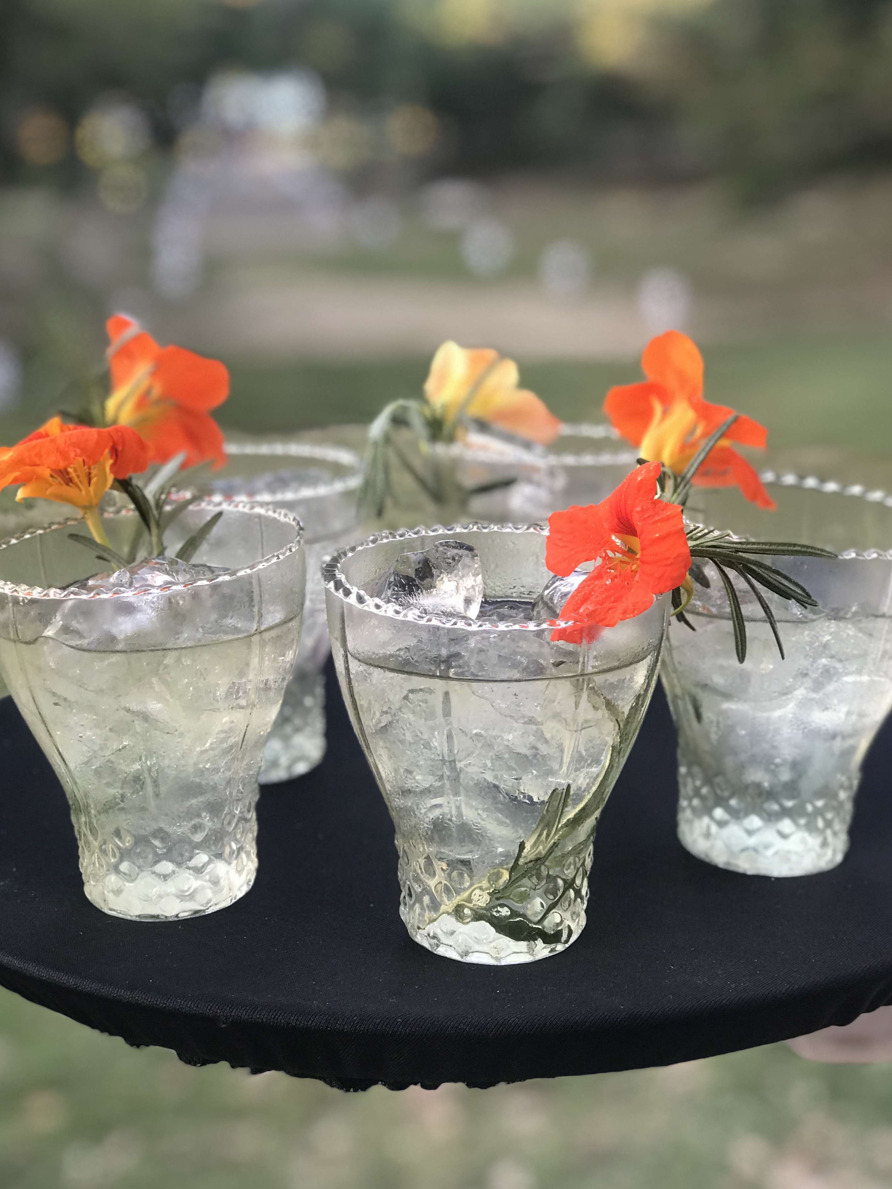 destilados sin alcohol