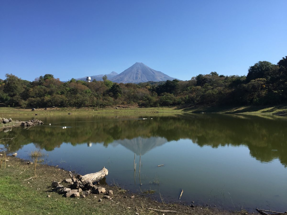 Café de Colima