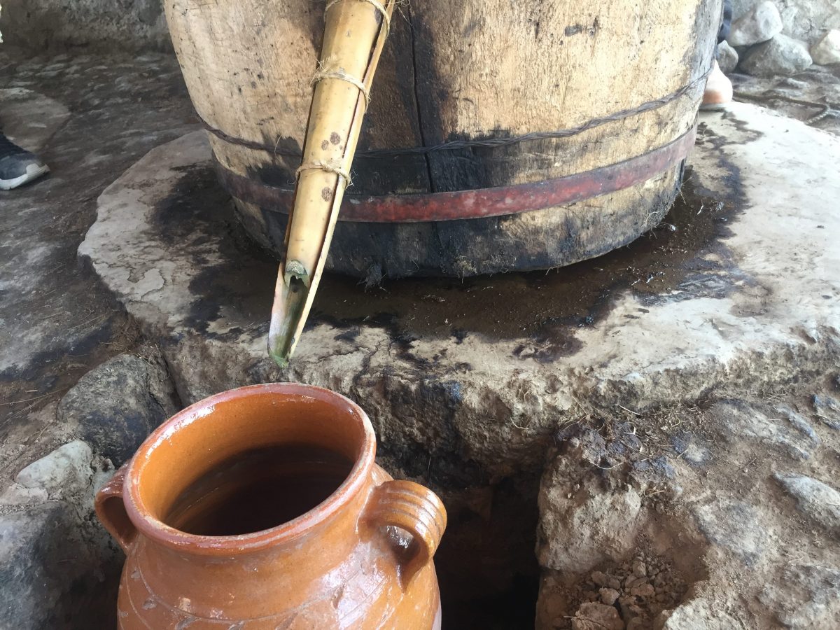 tuxca, mezcal jalisciense