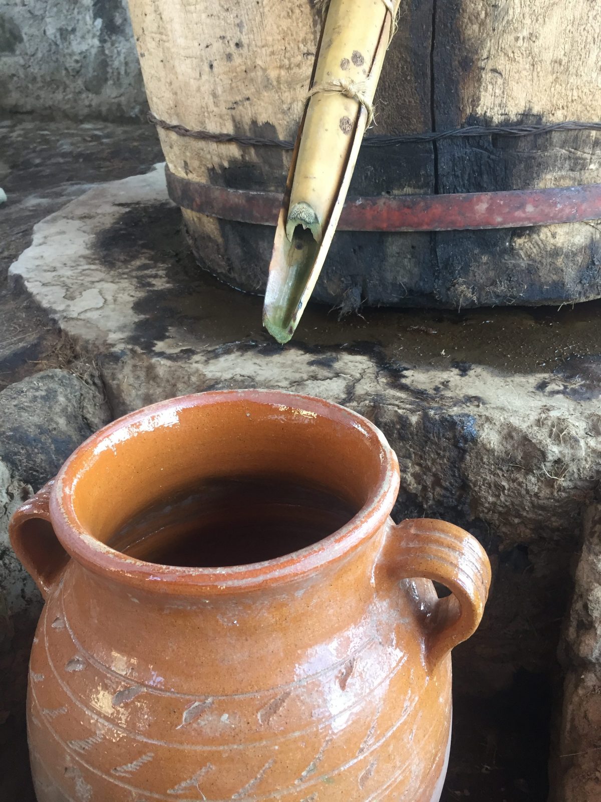 tuxca, mezcal jalisciense