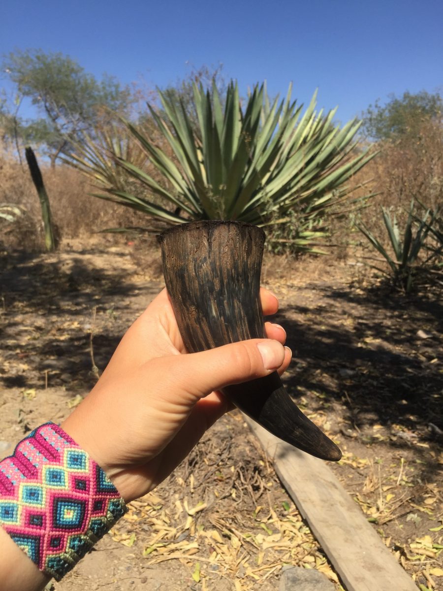 tuxca, mezcal jalisciense