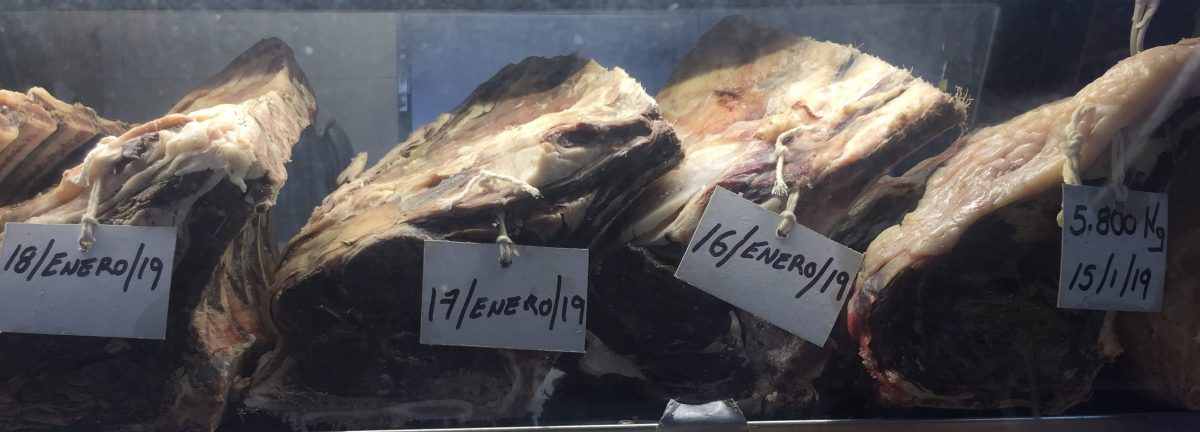 Mercado de Coyoacán