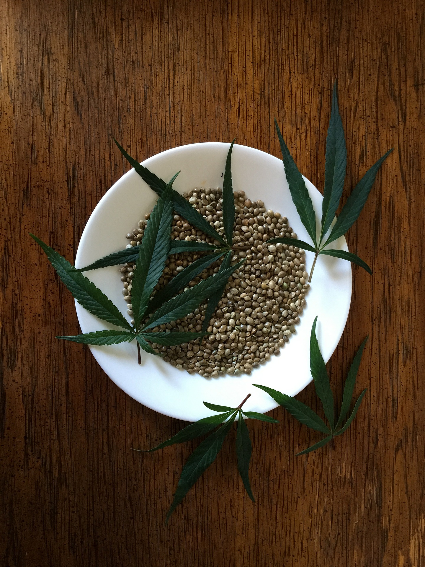 semillas de hemp para hacer cerveza con marihuana
