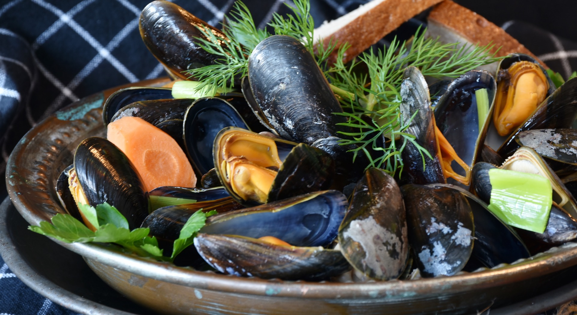Almejas y ostiones. Mejillones