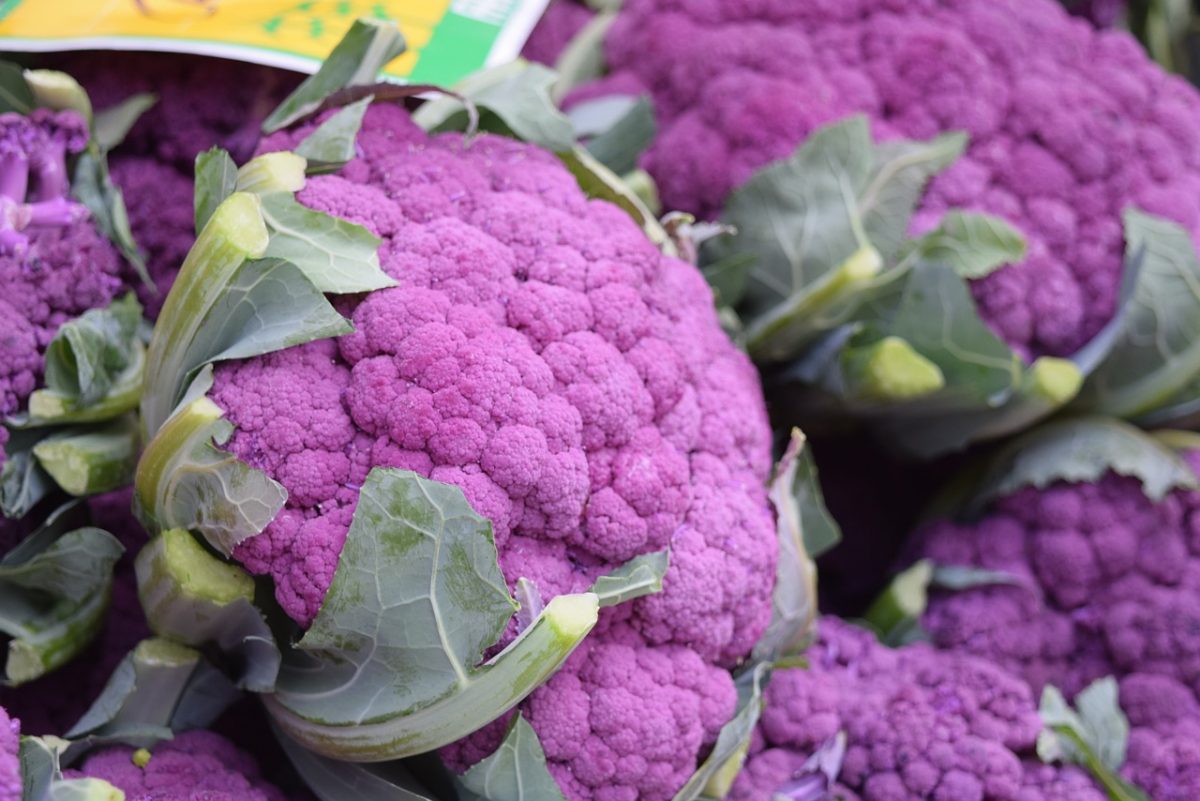 recetas con coliflor
