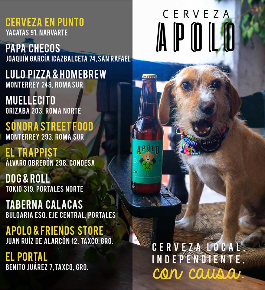 Lugares en donde venden Cerveza Apolo
