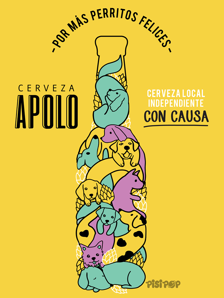 cerveza apolo