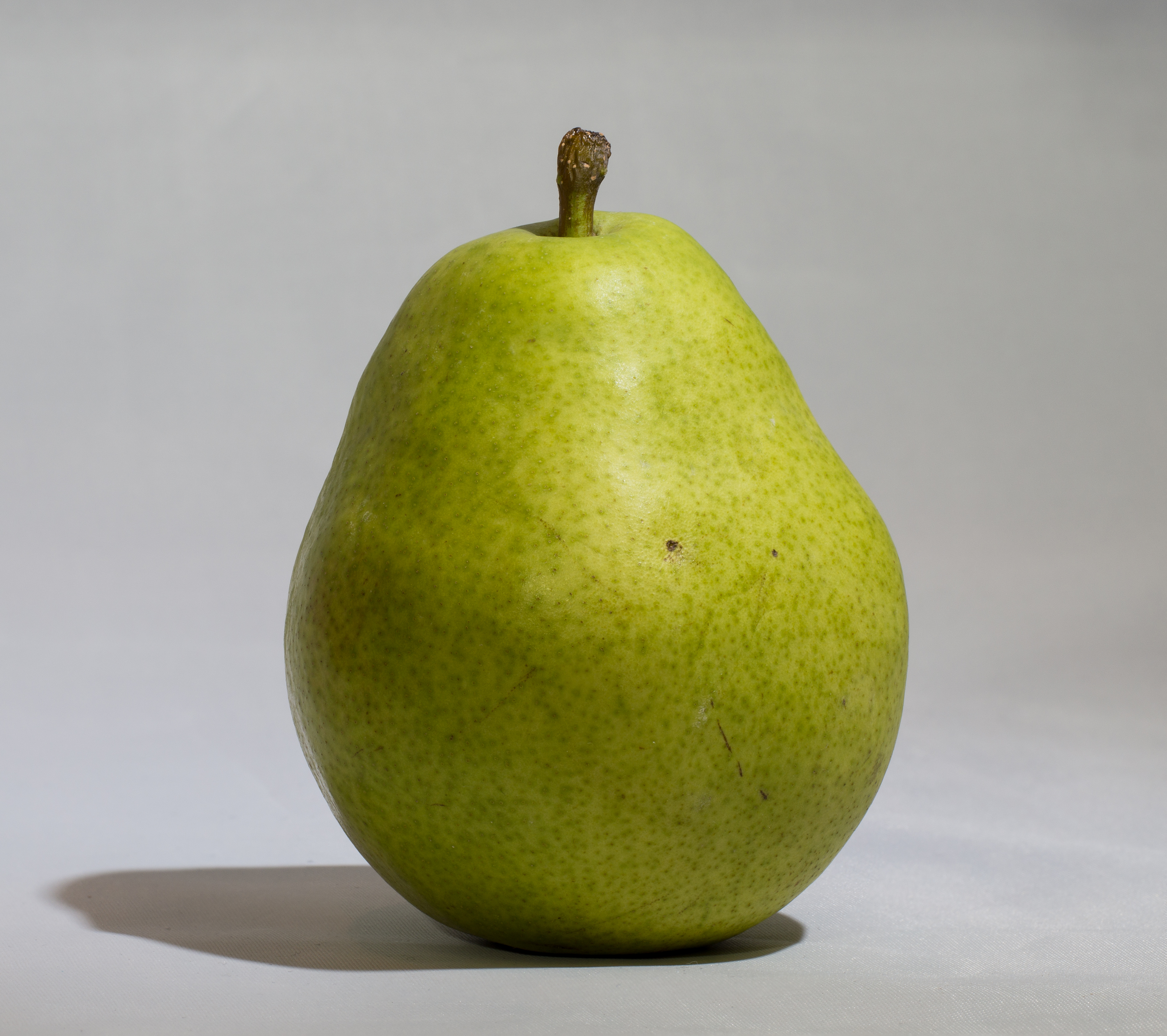 Pera d'Anjou
