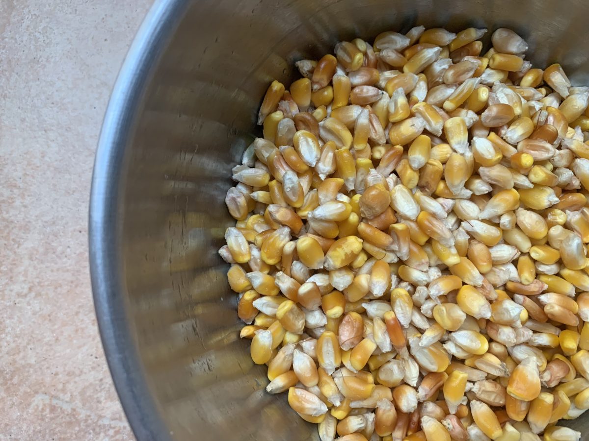 Todo lo que necesitas saber para nixtamalizar en casa y hacer masa para tortillas