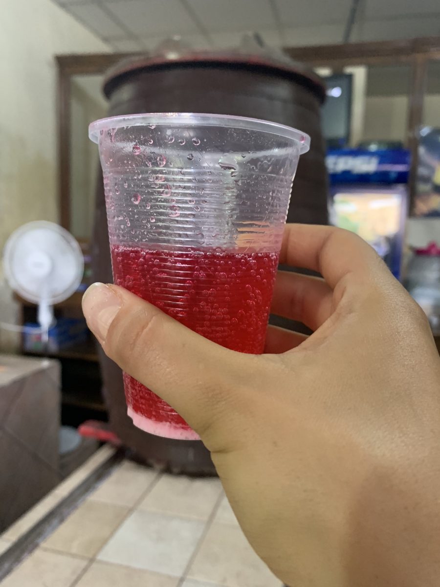 comida tradicional de león