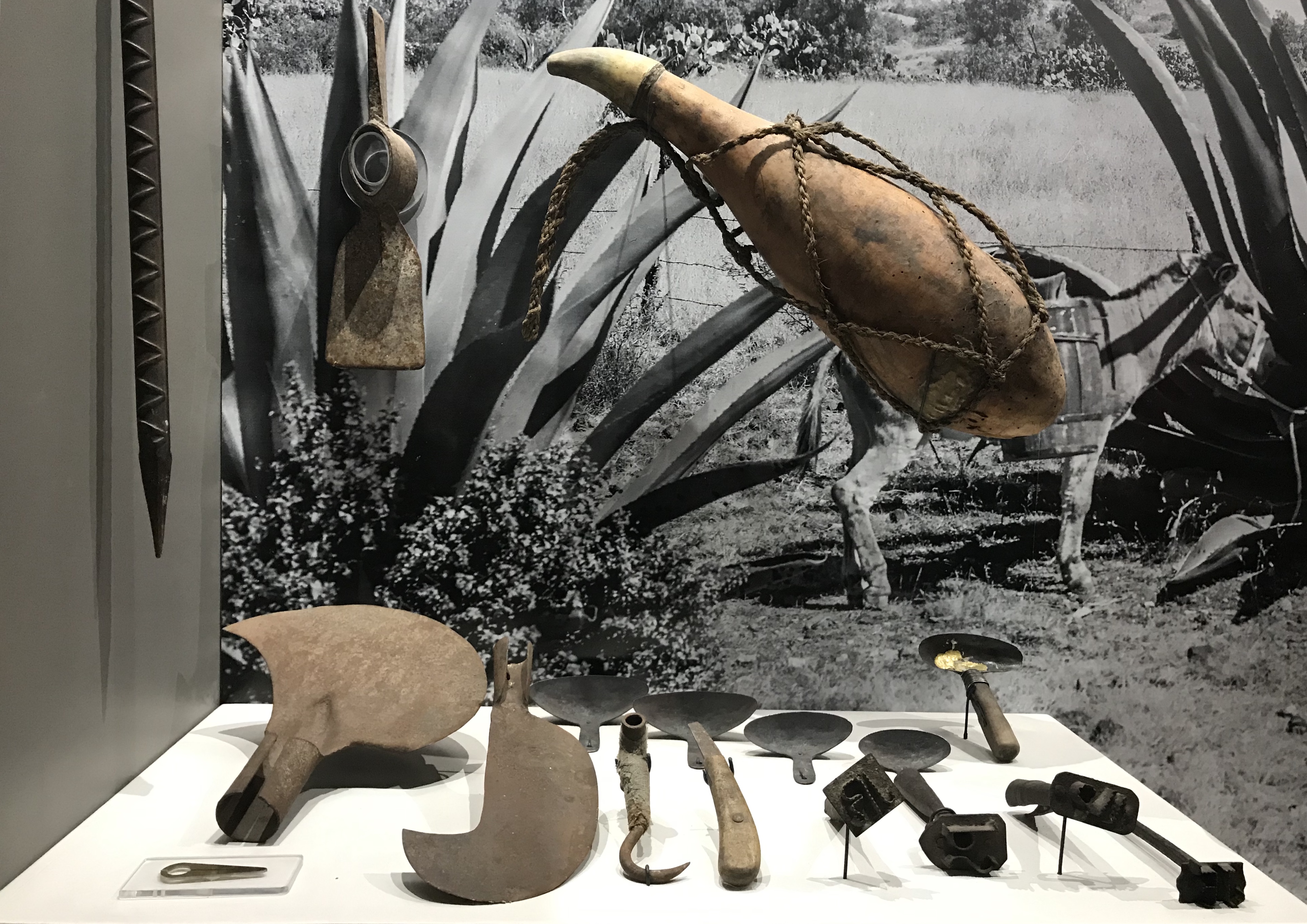 Museo del Pulque