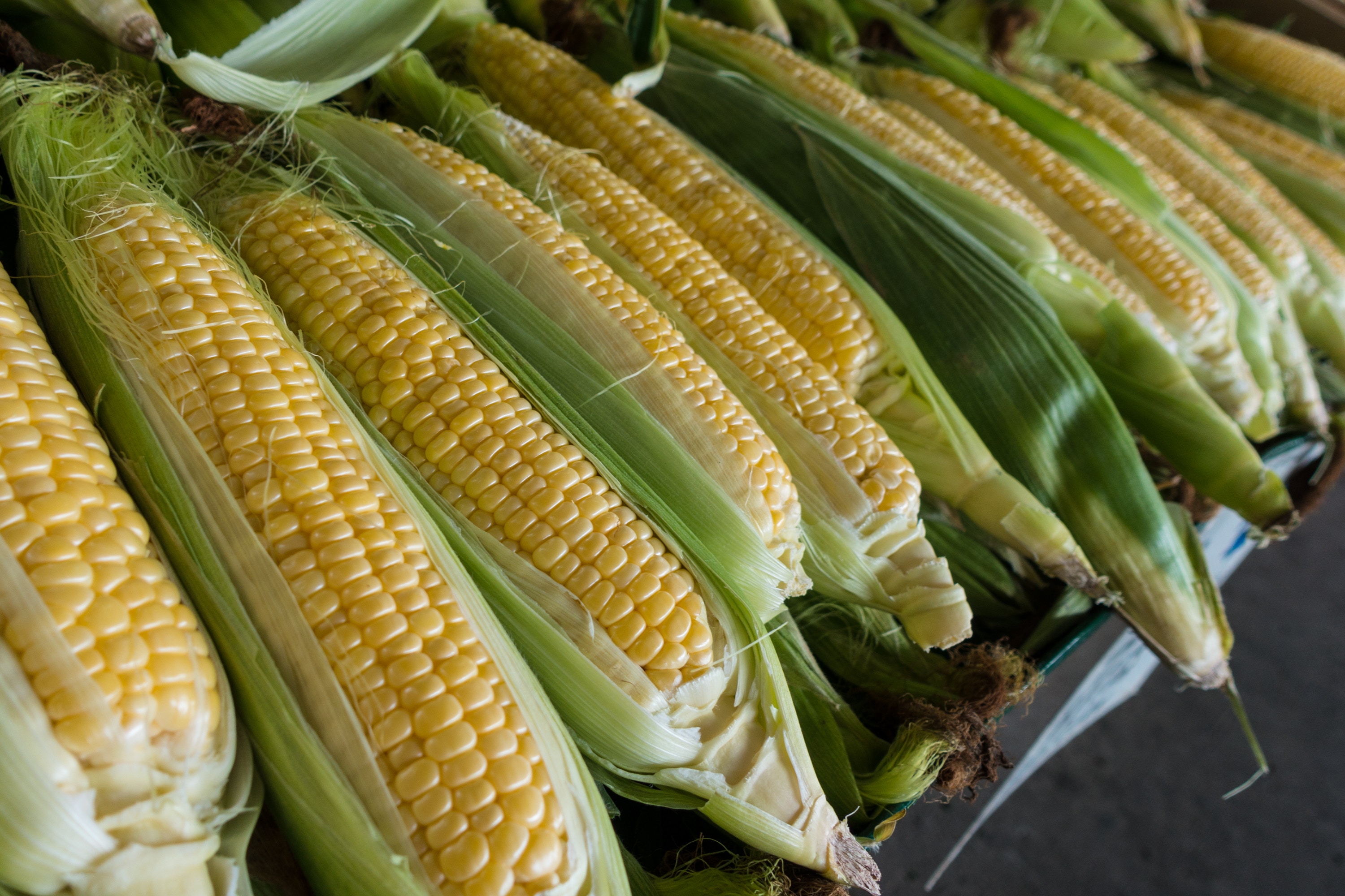recetas de esquites