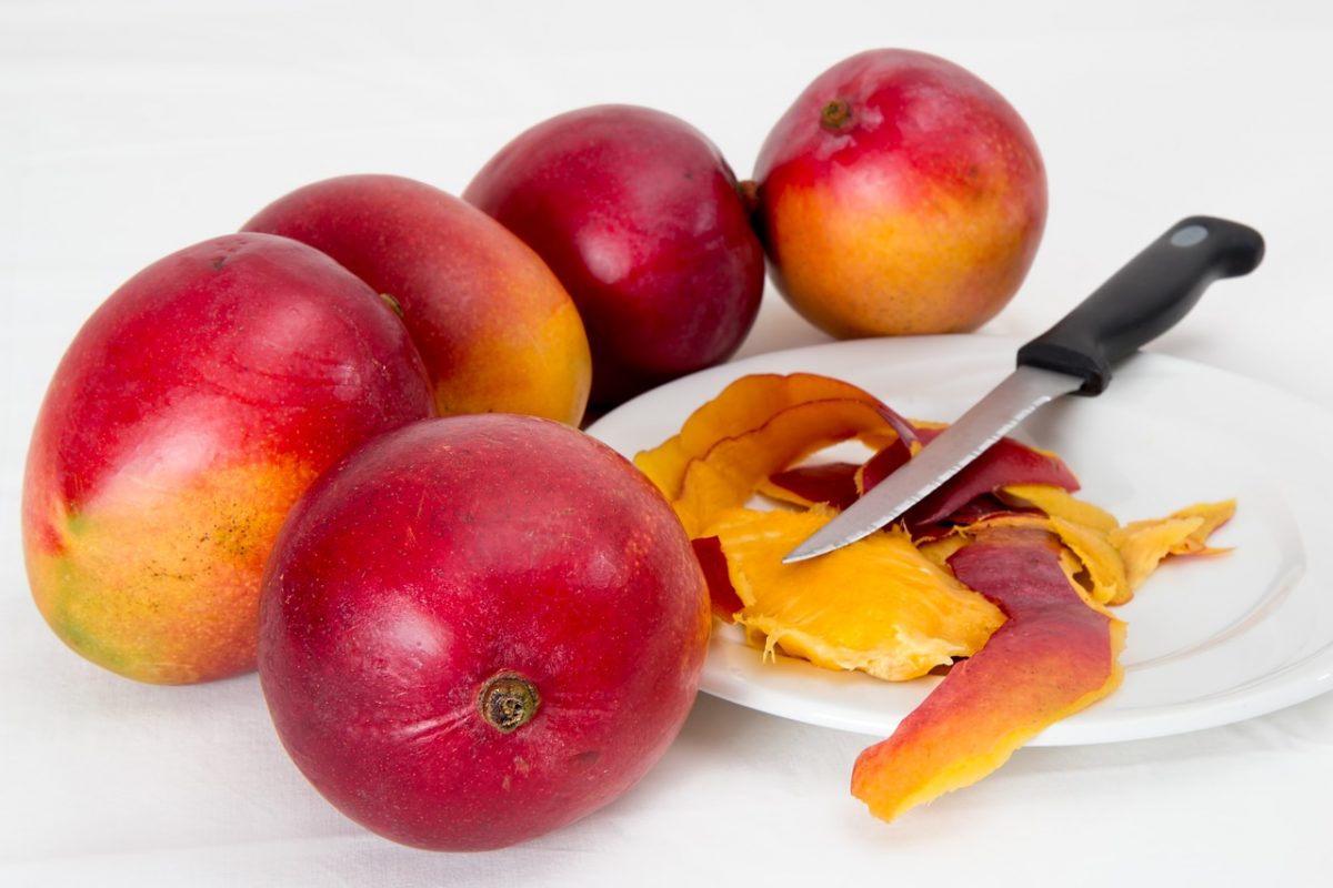 recetas con mango temporada