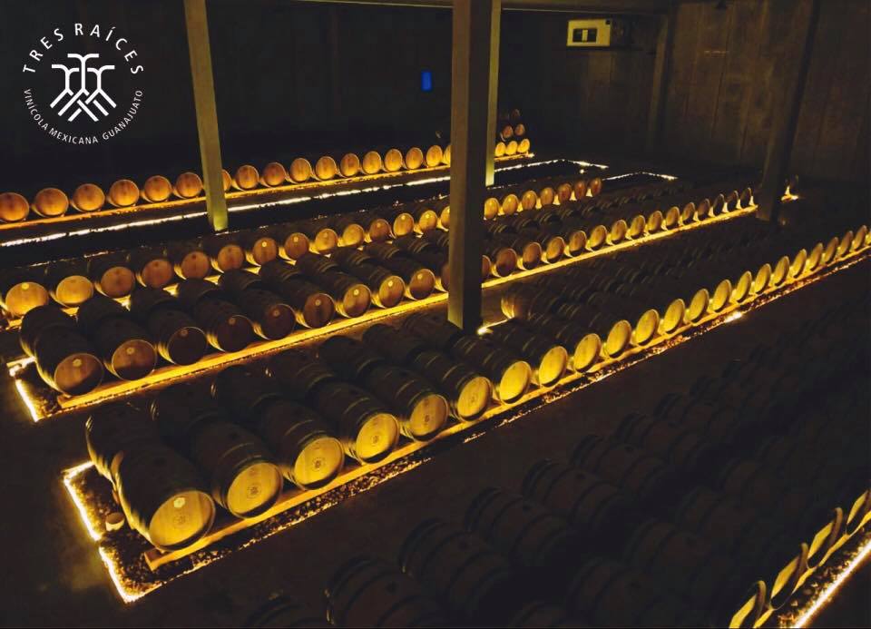 viñedos en san miguel de allende