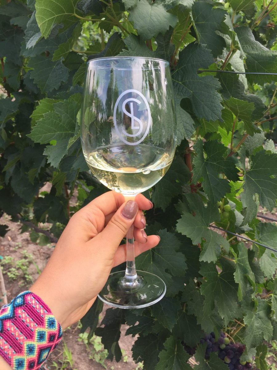 viñedos en san miguel de allende