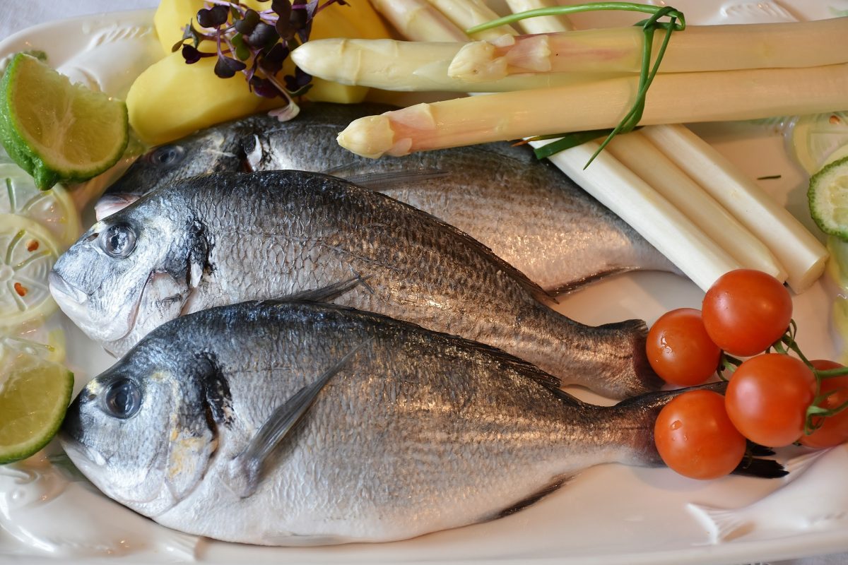 Pesca sustentable: mejores pescados y mariscos con smartfish