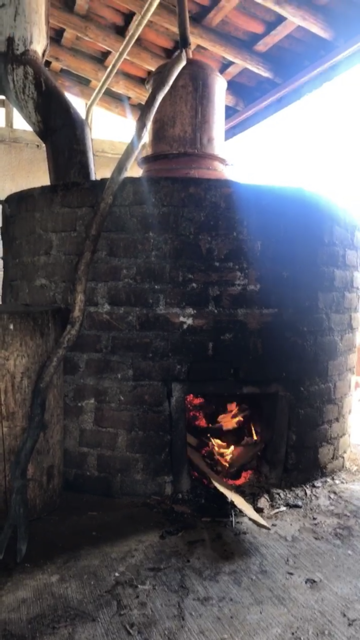 Mezcal destilación destilado