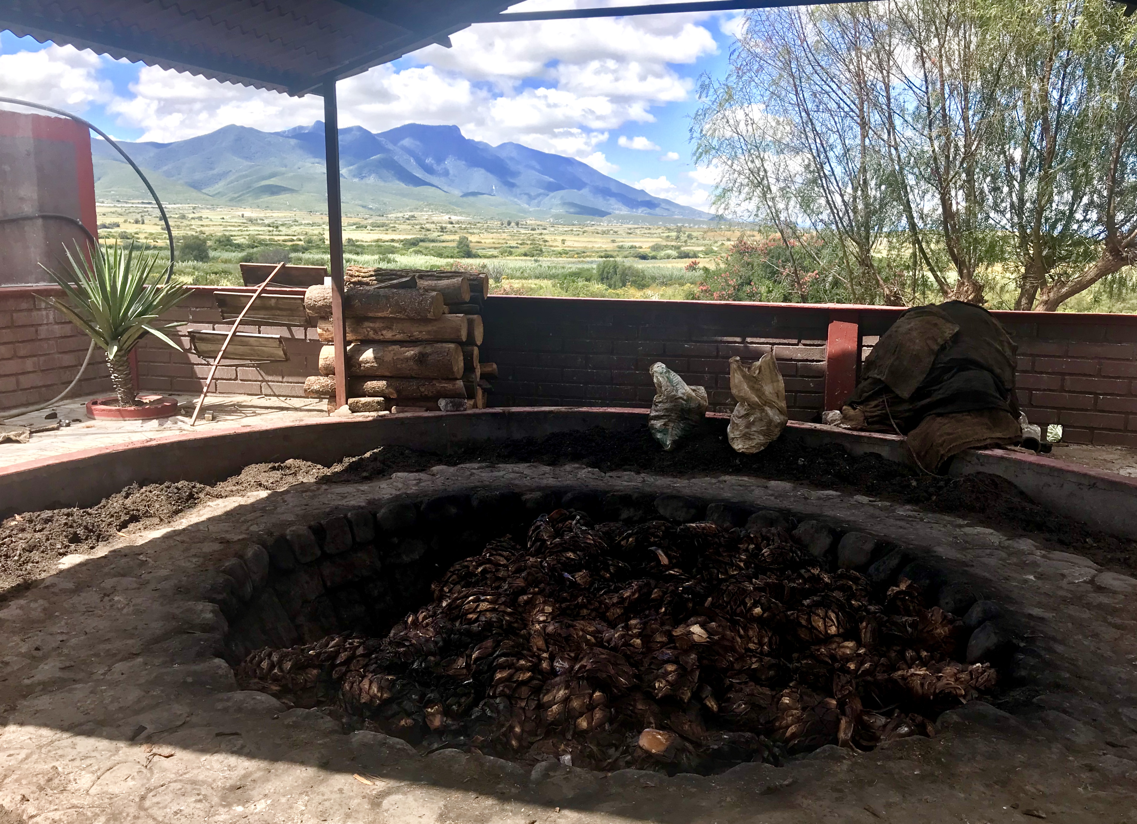 Mezcal destilación destilado