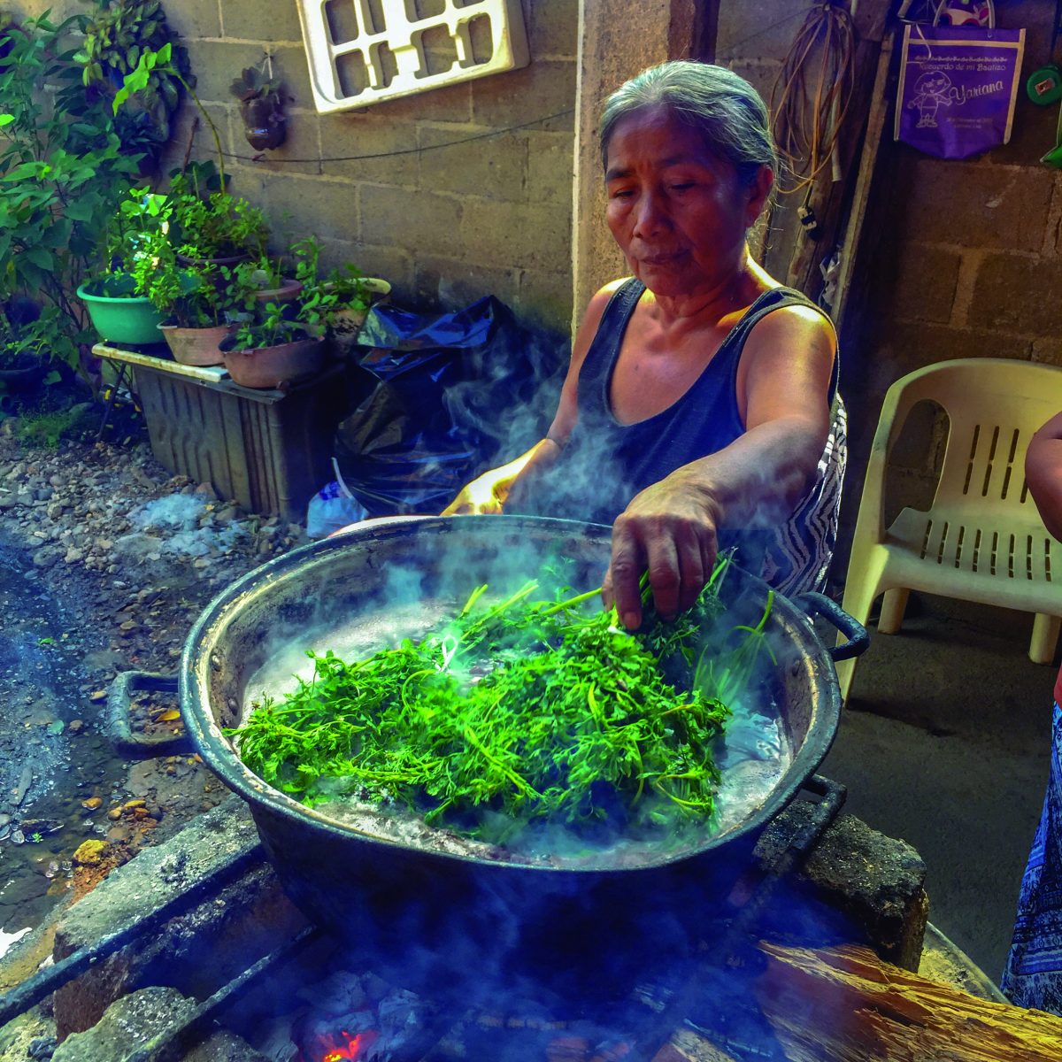 Platillos de La Chinantla, cocina oaxaqueña