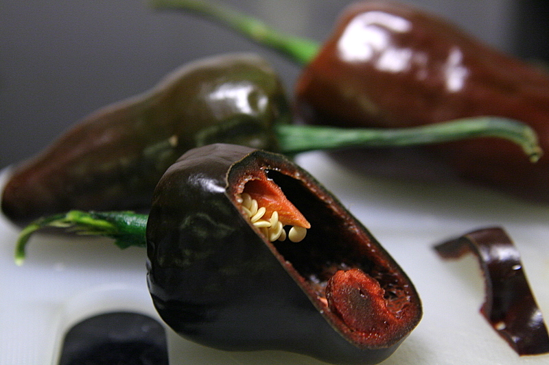 chichilo negro