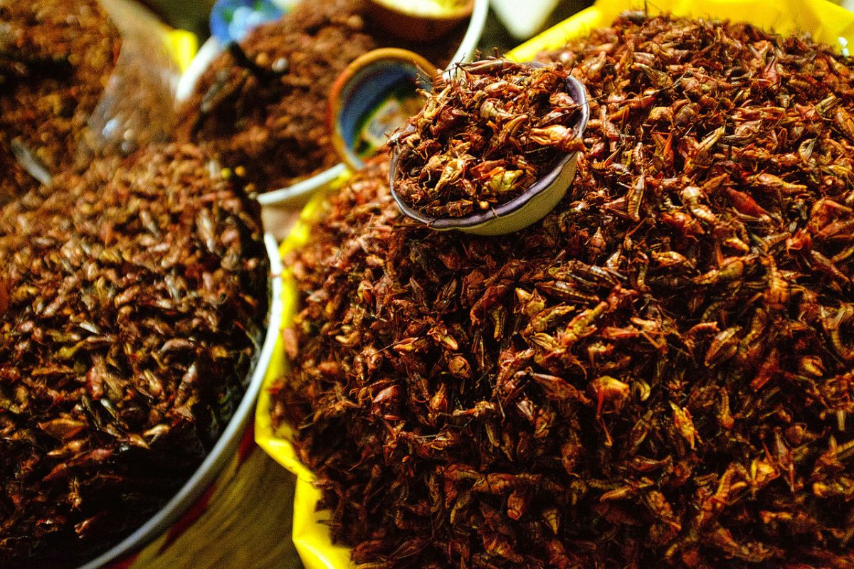 Las más deliciosas y raras combinaciones con chocolate
