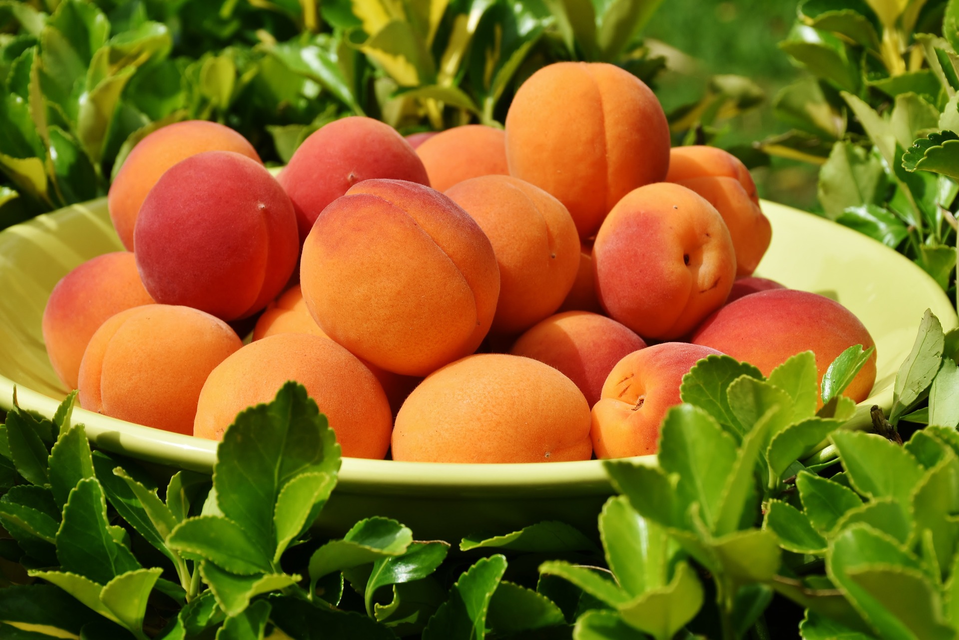 frutas con más proteína
