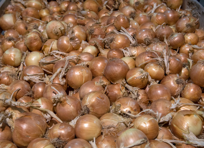 cebollas amarillas