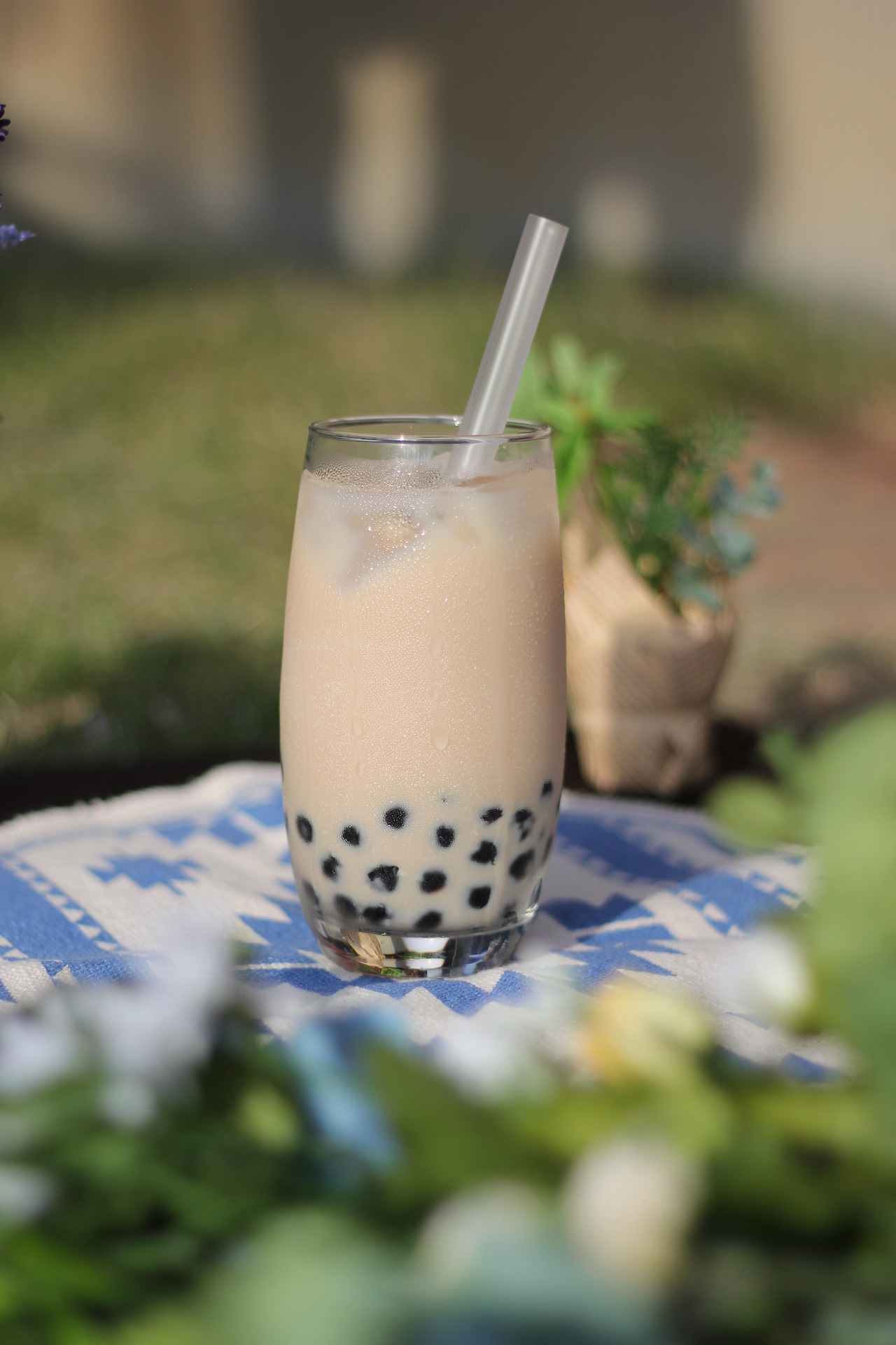 tapioca